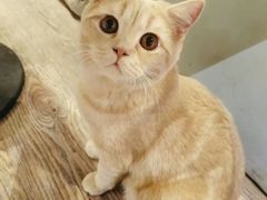 -小时光咖啡馆(开森度假森林店)
