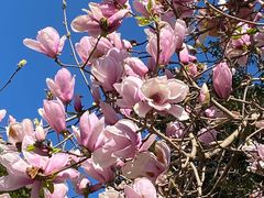 -广州市流溪河国家森林公园