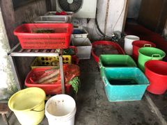 -小海土菜馆(振容路店)