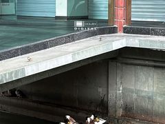 -浙江省博物馆(孤山馆区)