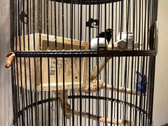 -清真·京华源铜锅涮肉(丰庆店)