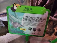 -正佳雨林生态植物园