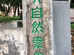 -大自然素食(望桐路店)