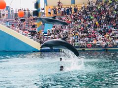 -秦皇岛乐岛海洋王国