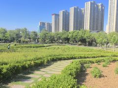 -隋唐大运河文化博物馆