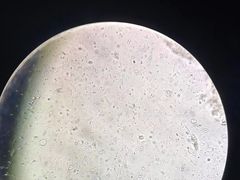 -贝来恩24H动物医院·转诊中心(稻香路店)