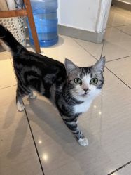 -长沙纹身·龙堂刺青·三土师傅的店