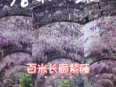 -武汉园博园(武汉自然博物馆)