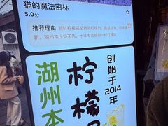 -猫的魔法密林(衣裳街店)