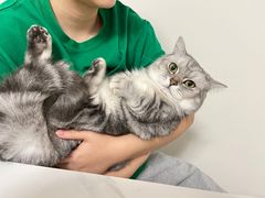 -创凡宠物医院·骨专科  猫科中心(西乡分院)