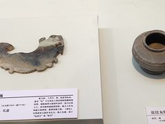 -安阳博物馆