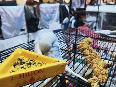 -焙丽拾光(麦凯乐直营店)