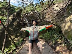 -鲁山国家森林公园