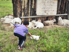 -北极村旅游风景区