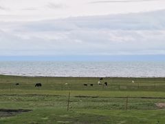 -青海湖国家重点风景名胜区