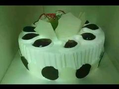 -向阳松鼠(江口店)