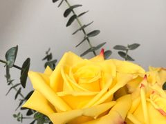 -弗劳尔花艺坊(龙涛店)