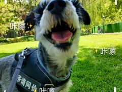 -纳吉亚猫专科动物诊疗中心(蒋宅口分院)