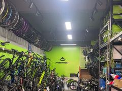 -道路口单车爱瓦士dahon大行