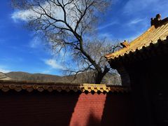 -五台山风景名胜区