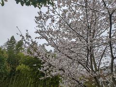 -中国浦东干部学院