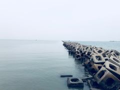 -东疆建设开发纪念公园