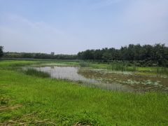-东郊湿地公园