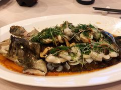 清蒸老虎斑-三利音·东方司宴(外滩店)