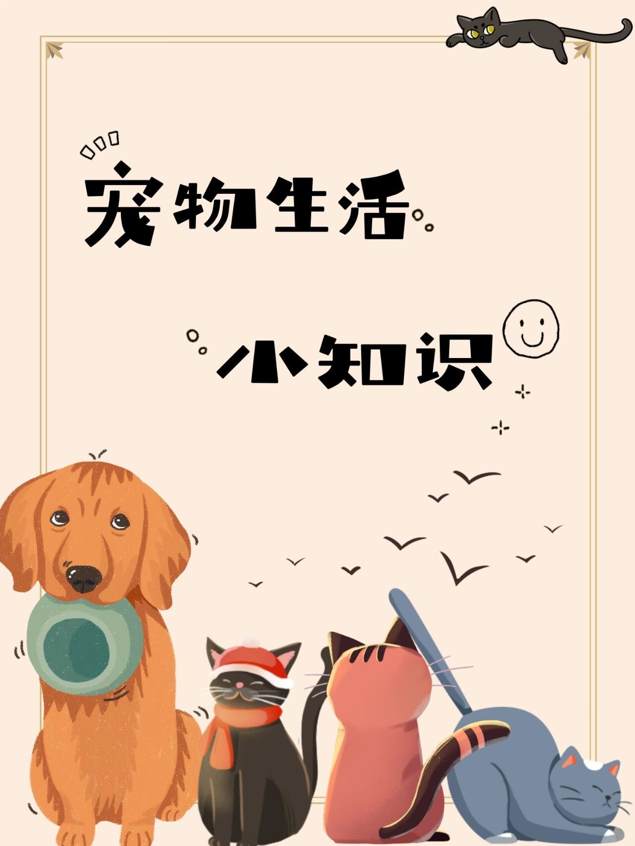 宠物健康的守护者!朵拉维特 24h 医院🏥