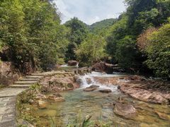 -广州白江湖森林公园