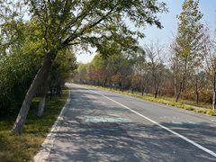 -泗洪洪泽湖湿地景区