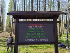 -黄海国家森林公园