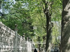 -雕刻时光咖啡馆(师大路店)