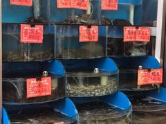 水产区-北戴河庆山饭店·海鲜砂锅粥(北戴河黑石路店)