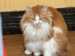 -氷冰凉刨冰甜品(北京路店)