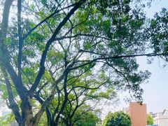 -晓港公园