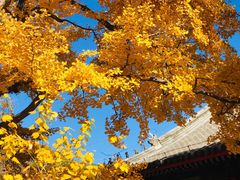 -红螺寺