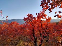 -周口店坡峰岭风景区