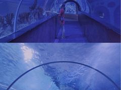 -成都浩海立方海洋公园