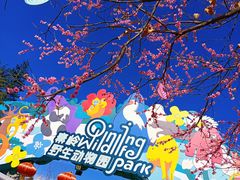 -西安秦岭野生动物园