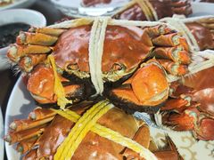 -小陆莲花蟹园农家乐(莲花岛店)
