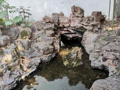 -秋霞圃