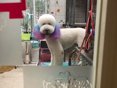 -瑞派天宁宠物医院·猫科·异宠中心