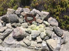 -夏威夷火山国家公园
