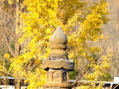 -报恩寺(平武县)