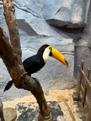 点击看大图 -Zoolung Zoolung动物主题公园(海信广场店)