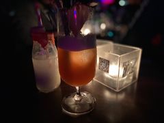 -TZ House音乐现场(茅台店)