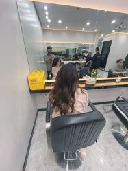 -YESIDO椰岛造型