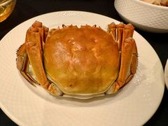 -王宝和酒家(黄浦店)