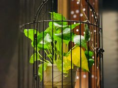 -麒茗餐厅·粤菜·宴会厅·海鲜(锦绣路店)